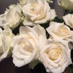 Alte Kunst Weinkeller und Café