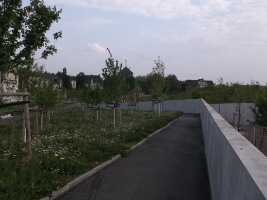 Grüngürtel Duisburg-Nord