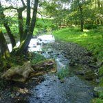 Extratour Zum Alten Rhein