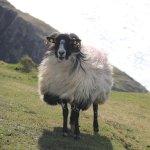 Griechisches Restaurant Kreta