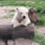 Harry's Grillrestaurant