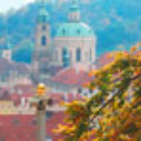 Kentucky Fried Chicken