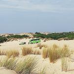 Restaurant Haus Dohmen