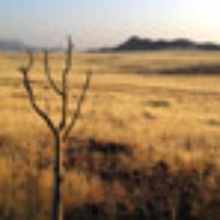 Pizzeria Bella Napoli