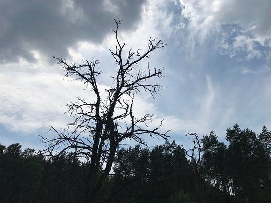 Emsquellen Erlebnisweg