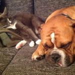 Vielhaber's Brot-Cafe