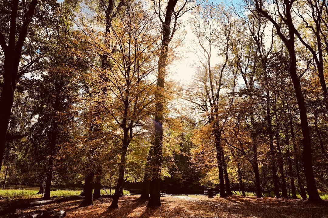 Wildpark Düsseldorf Grafenberg