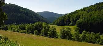 Waldreservat Glindfeld