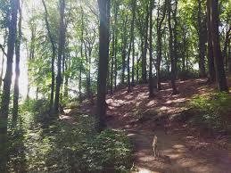 Düsselauen bei Gödinghoven