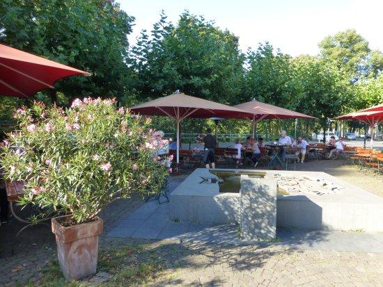 Fuchs am Klemensplatz