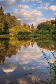 Naturschutzgebiet Dollenbruch