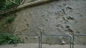 Dinosaurierspuren