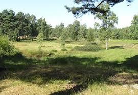 Teverener Heide