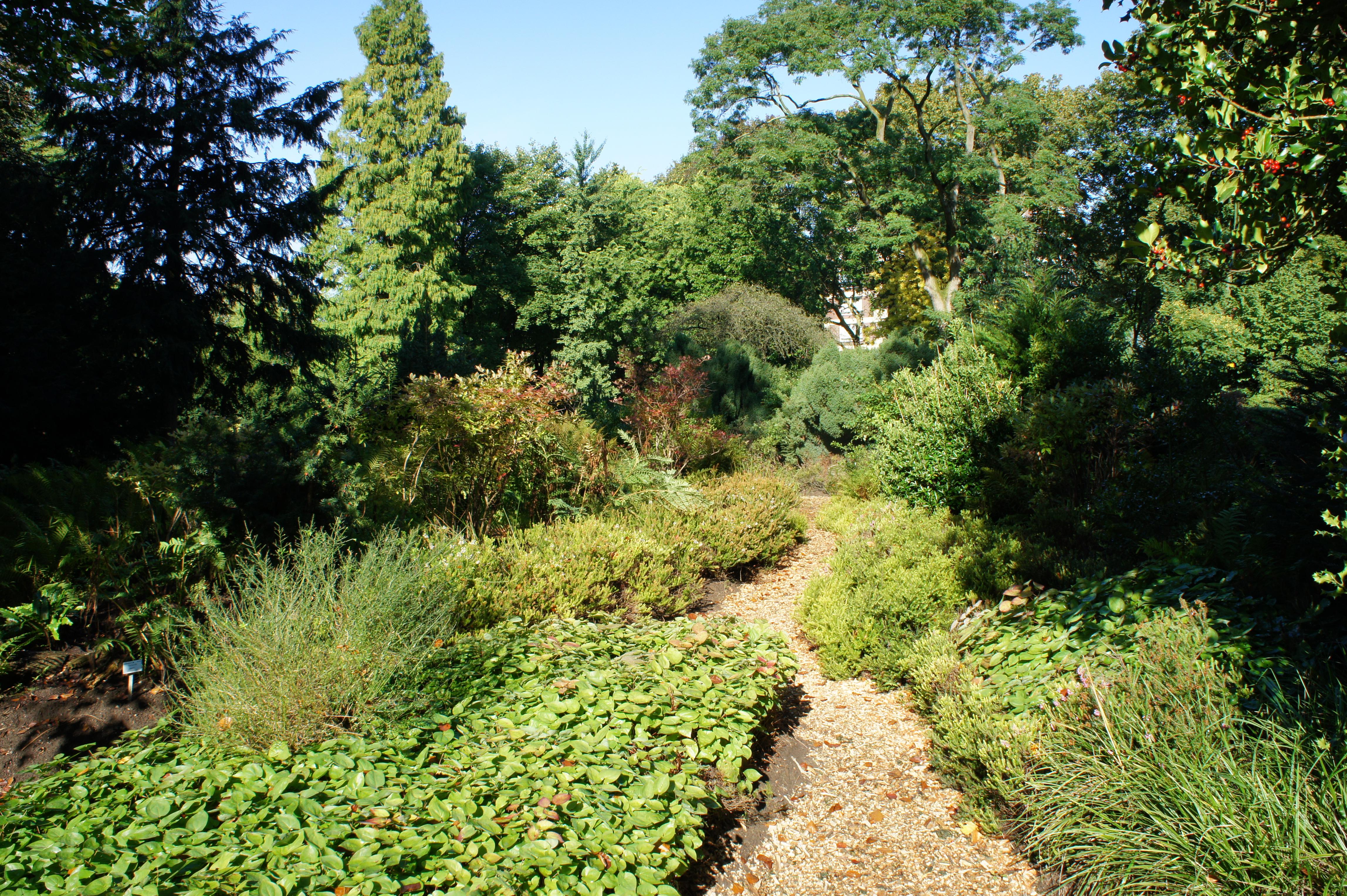 Botanischer Garten Duissern