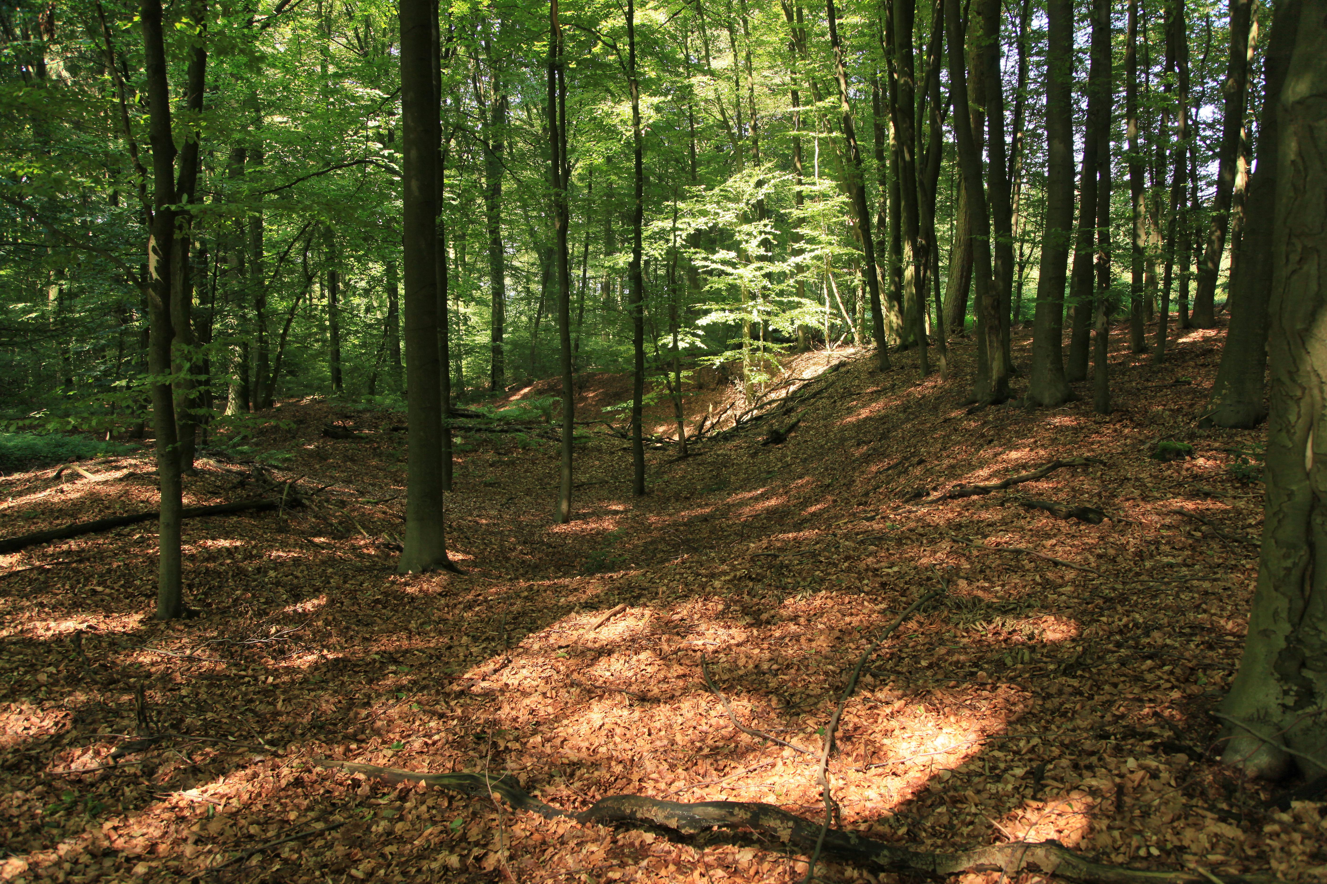 Höhle Halver Hülloch