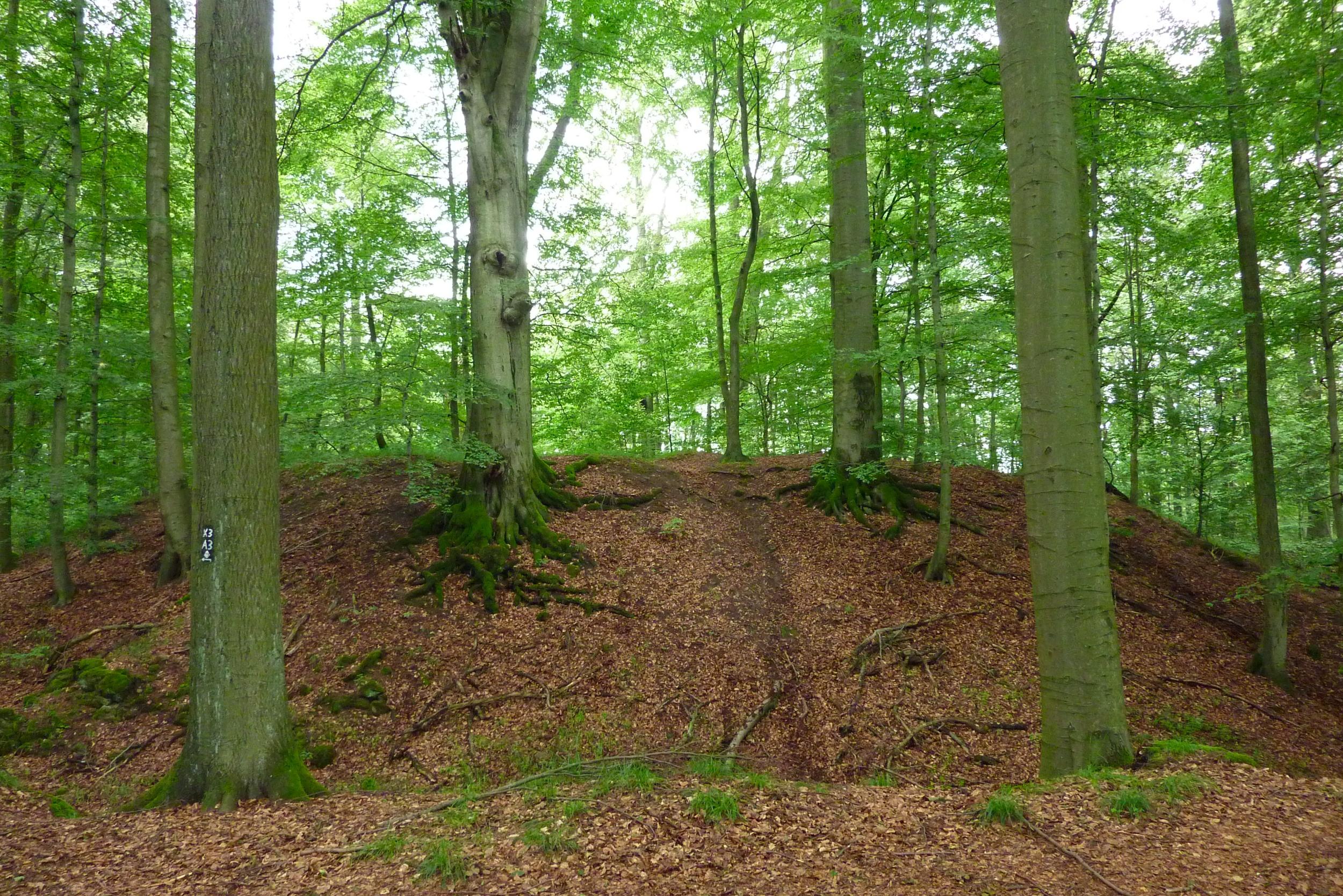 Stadtwüstung Blankenrode