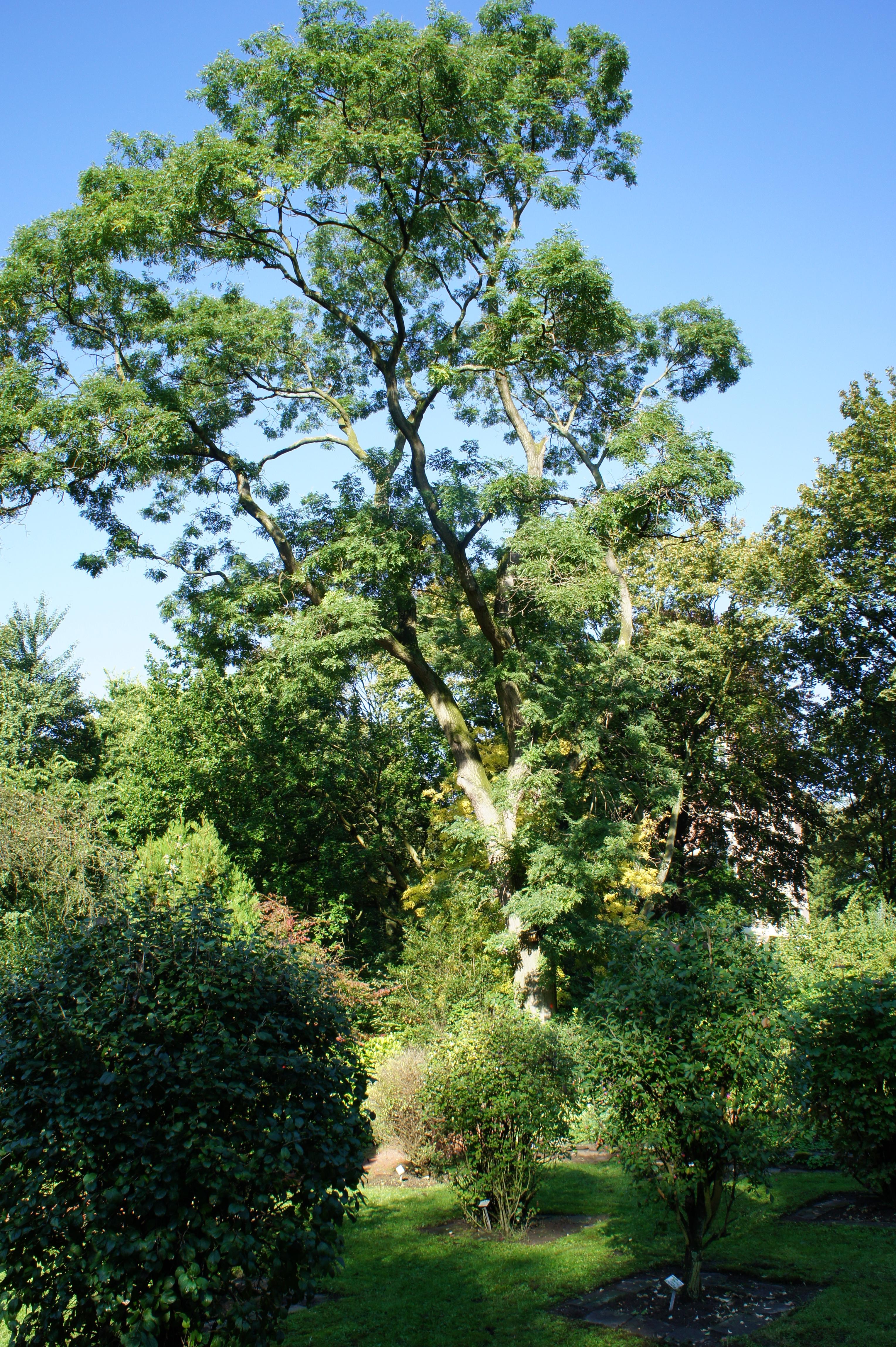 Botanischer Garten Duissern