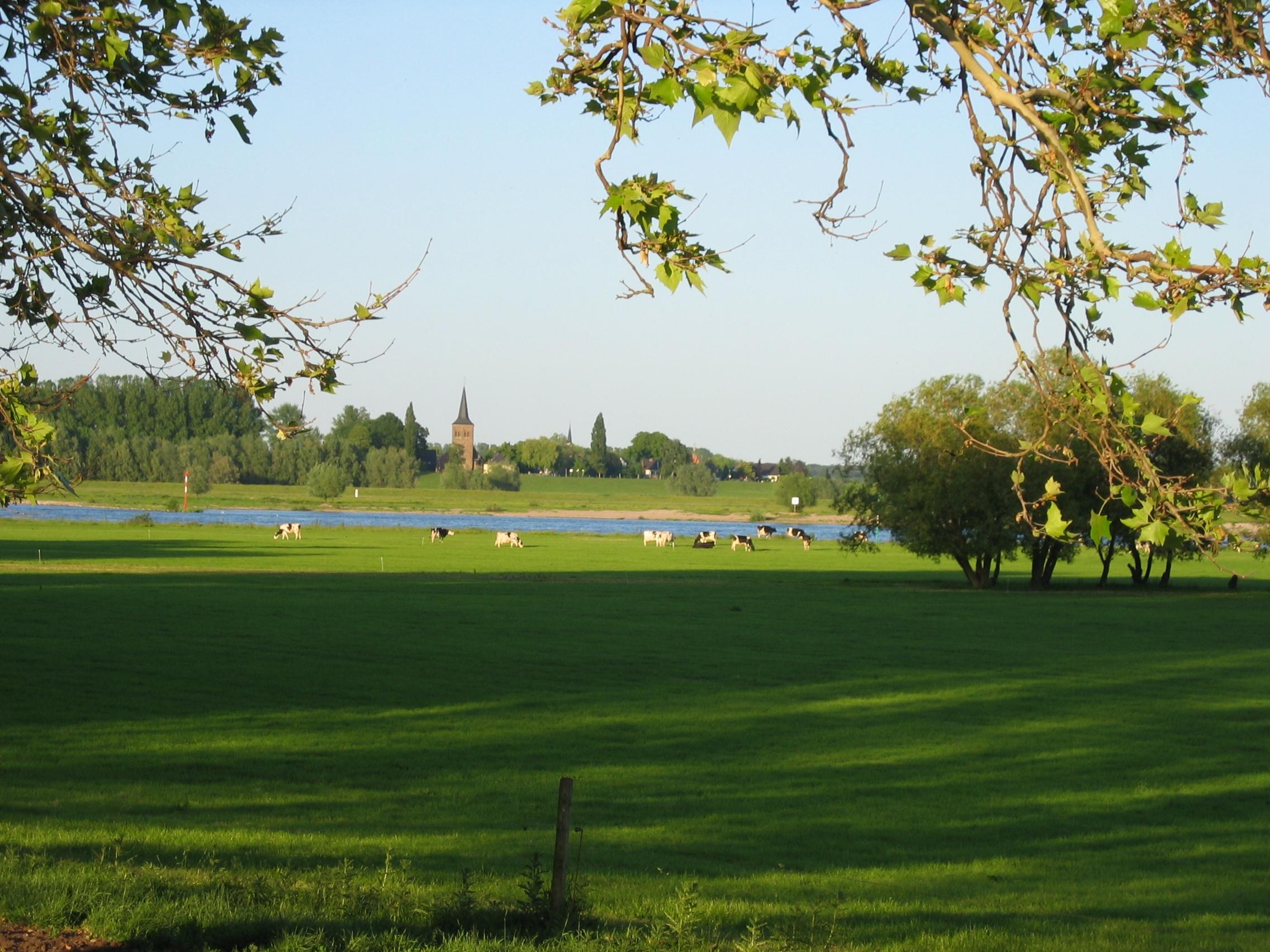 Naturschutzgebiet Reeser Schanz