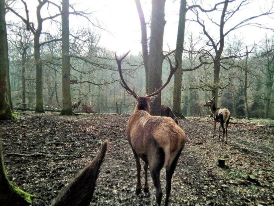Aussichtsturm Hülser Berg