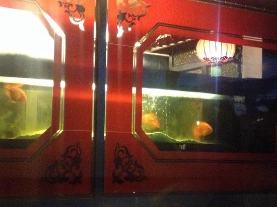 China Restaurant Buffet