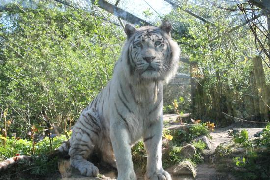 Zoo DierenPark Amersfoort