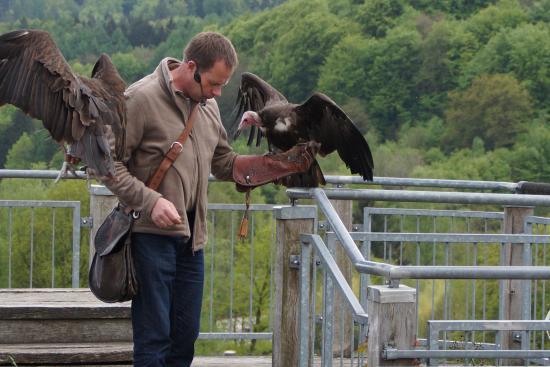 Adlerwarte Berlebeck