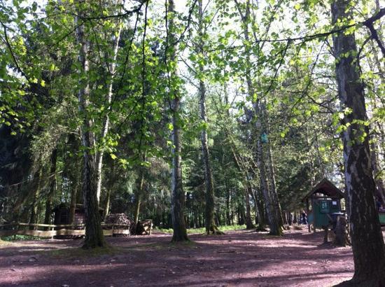 Wald- und Wildpark Rolandseck
