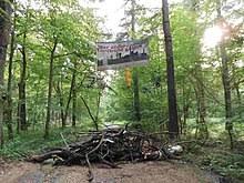 Hambacher Forst