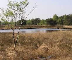 Remise am Zwillbrocker Venn