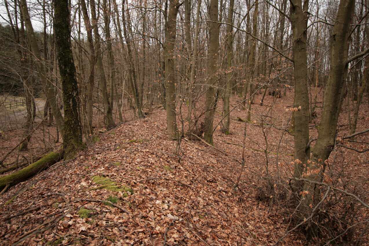 Wallburg Jäckelchen