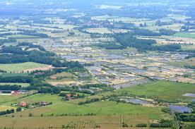 Rieselfelder Münster