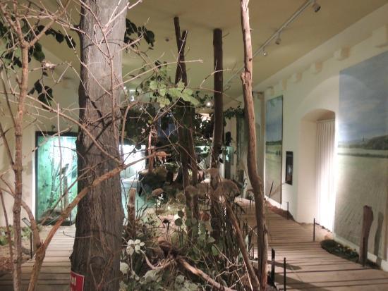 Museum Mensch und Jagd