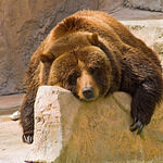 OLYMP-GRILL im Herzen von Essen Bredeney