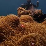 Pizzeria Da Alessandro